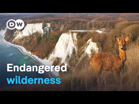 Wild Rügen: Tourism vs. Nature Conservation