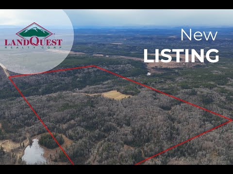 Where the Pavement Ends: 319 Acres of Freedom Near Water Valley - Water Valley, AB