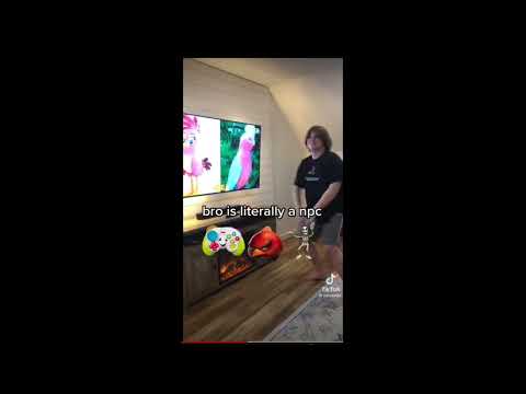 normal npc watchs angry birds       (video is not mine)