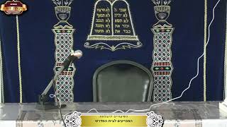 בית המדרש "תורת דוד" ¤ שידור חי ¤ כ"א תמוז תשפ"ה (17.7.2025) (מוסדות תורת דוד) - התמונה מוצגת ישירות מתוך אתר האינטרנט יוטיוב. זכויות היוצרים בתמונה שייכות ליוצרה. קישור קרדיט למקור התוכן נמצא בתוך דף הסרטון