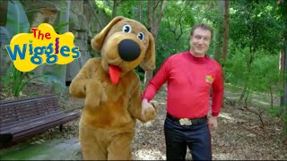 Brush Your Pet's Hair