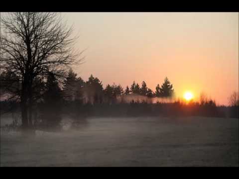 Airija - Išlikt Savim