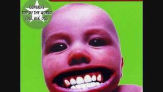 chumbawamba creepy crawling