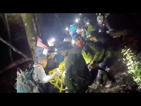 徹夜踏險救援　梨山松茂黑熊脫困－徹夜完成醫療處置後進行搬運