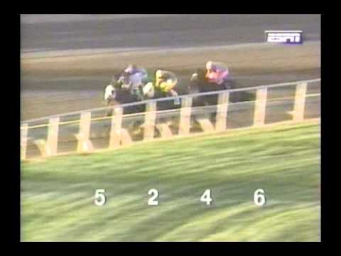 1994 Hollywood Preview Stakes - Afternoon Deelites