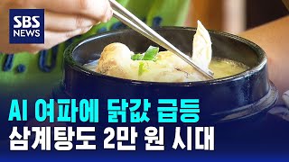 AI 여파에 닭값 급등..삼계탕도 2만 원 시대 / SBS