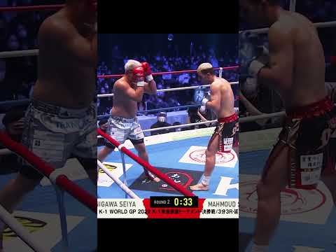 Textbook Straight Punch 📘