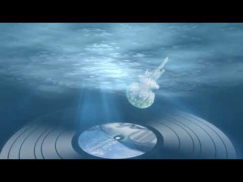 7 Axel S. - Deep Ocean
