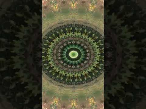 Cosmic Mandala II #deepsleep #dormir #healing #meditacao #meditationsong #relax #musicadedormir