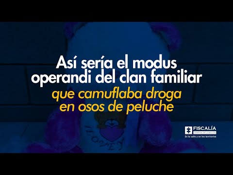 El clan familiar que camuflaría droga en osos de peluche