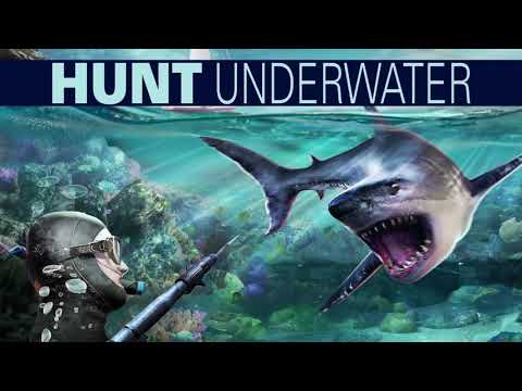 Deer Hunter 2018 Video