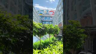 Wonder of the Seas Cruise Ship - Central Park Living Garden 🌳🛳️ #wonderoftheseas #royalcaribbean