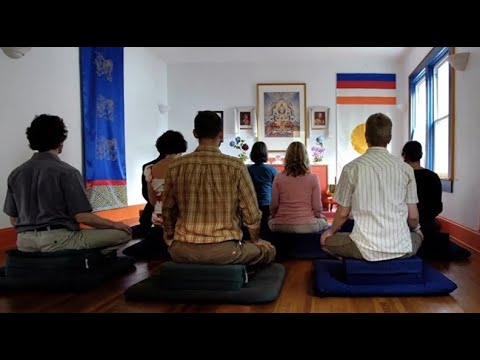 From Burnout to Balance in Activism and Work