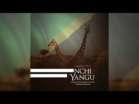 Lameck Ditto - Nchi Yangu (Official Audio)