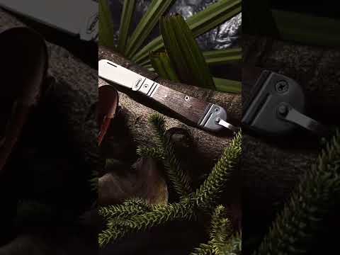 V&iacute;deo 3