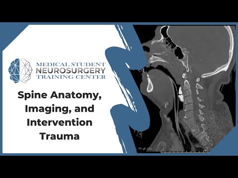 Spine Anatomy, Imaging, and Intervention Trauma
