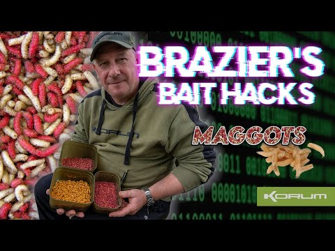 BRAIZERS BAIT HACKS - MAGGOTS