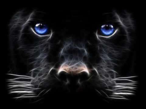 JAMAX - WELLOUH (TRP Music)