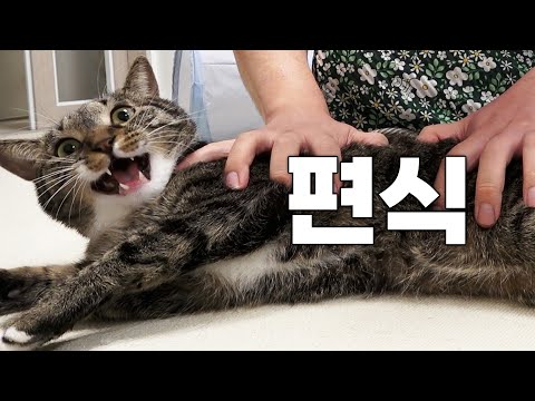 집사들이라면 무조건 겪는다는 그것...