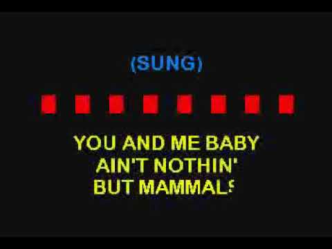 Best Karaoke - Bloodhound Gang   The Bad Touch