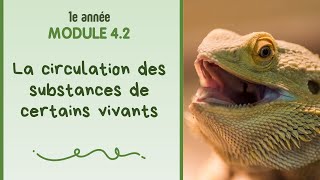 La circulation des substances chez les vivants