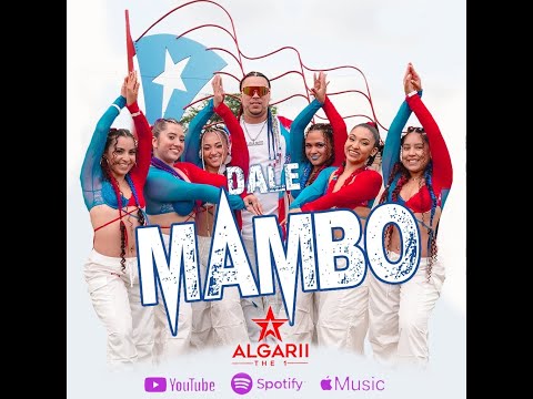 Puerto Rican Festival Chicago Recap 2024 - Algarii