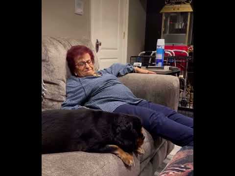 WEED 🌲 COOKIES 🍪 ⛽️ = DOG 🐶 HOUSE 🏠 GRANDMA 👵 #RAPPER #CHEEKOFUE LEAVE ALL COMMENTS #COMEDY