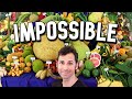 I Spent 10 Years Trying To Eat EVERY FRUIT In The World Weird Fruit Explorer