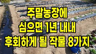주말농장에 심으면 1년 내내 두고두고 후회하게 될 작물 8가지