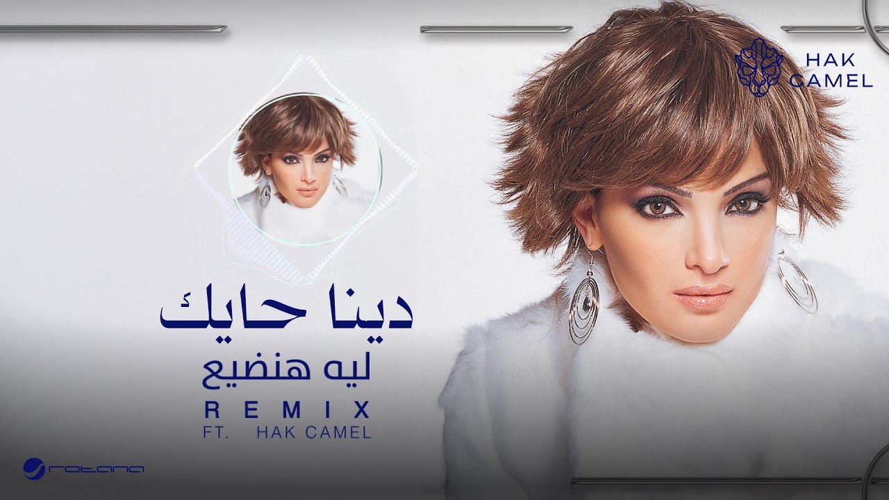 Dina Hayek ft.Hak Camel - Leah Handia (Remix) | 2026 | دينا حايك & هاك كامل  - ليه هنضيع ريمكس