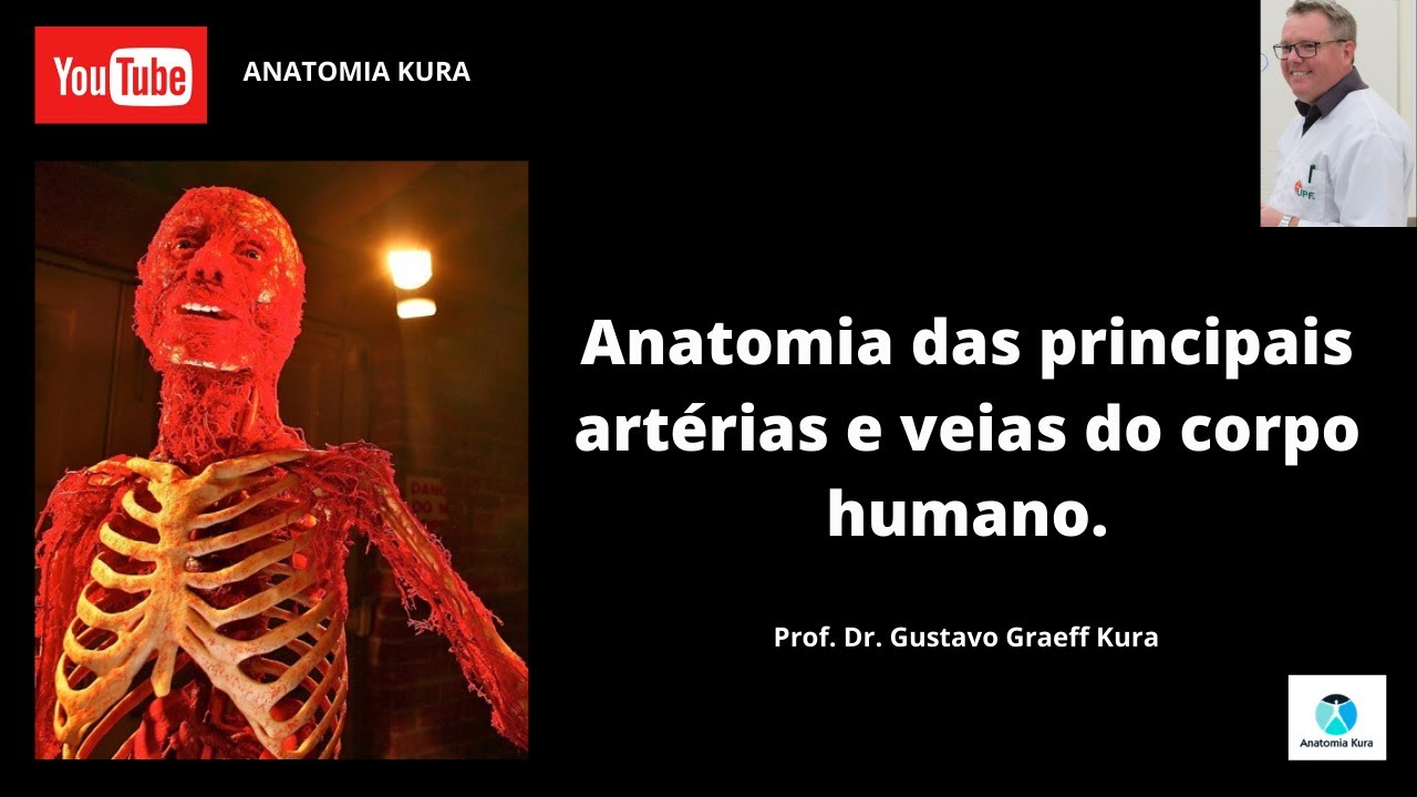 Anatomia das principais artérias e veias do corpo humano.