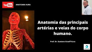 Anatomia das principais artérias e veias do corpo humano.
