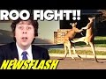 Wild Kangaroo Fight In Suburban Streets NEWSFLASH