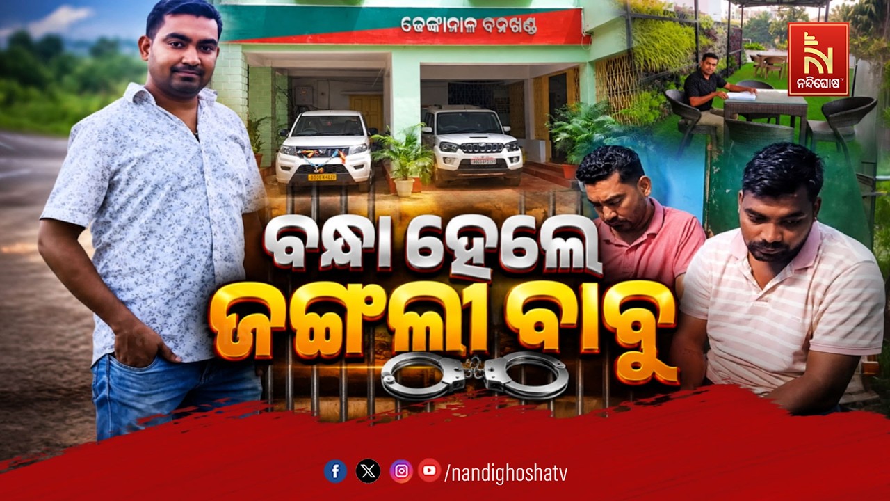 🔴Live | ବନ୍ଧା ହେଲେ ଜଙ୍ଗଲୀ ବାବୁ