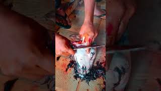 How to clean goat head hair from skin