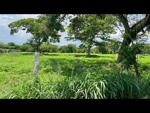 Lotes, Venta, Palmira - $352.000.000