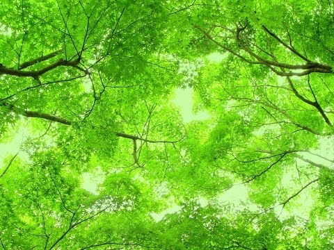 Best anime OST - Beautiful Soundtracks Piano No.15 -