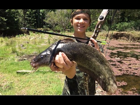 Eel Tail Catfish Bowfishing Catch & Cook - Like Chicken! Fishing Rod Giveaway | Miller Wilson