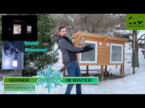 , title : 'Wie geht Hühnerhaltung im Winter? ❄️ Hühnerwelt 72'
