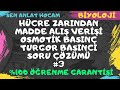 HÜCRE ZARINDAN MADDE GEÇİŞLERİ SORU ÇÖZÜMÜ | 3 | TURGOR - OSMOTİK BASINÇ SORU ÇÖZÜMÜ ( izle- öğren)✅