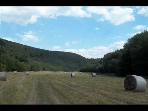 Remete-kút (Kisgyőr)