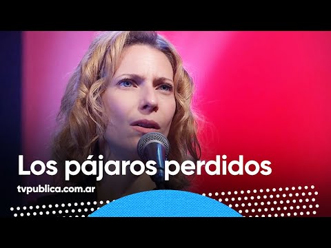 Los Pájaros Perdidos por Elena Roger y Escalandrum - Estudio 1