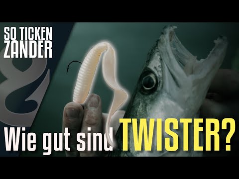 Do twisters still catch like they used to? This is what makes zander tick!