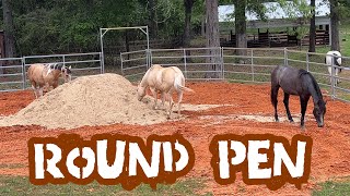 How To Build A Horse Round Pen From The Ground Up