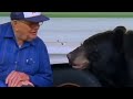 The Man Who Feeds Wild Black Bears Bear Crime BBC Studios