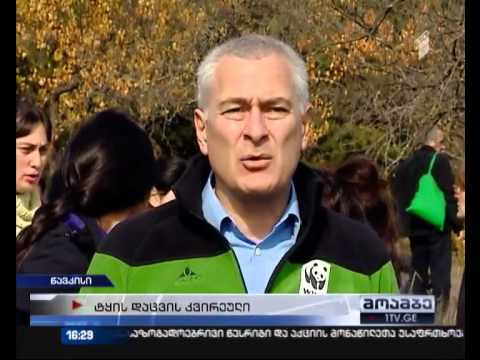 გამწვანების აქცია წავკისში-1 არხი_17.11.2014