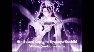 Bleach  All Captain Bankai Shikai NEW