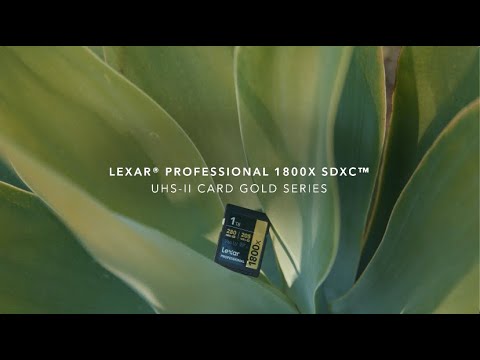 Lexar® Professional 1800x SDXC™ UHS-II Card GOLD Series