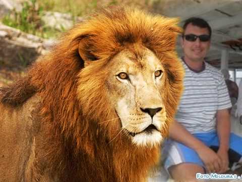 Benção video