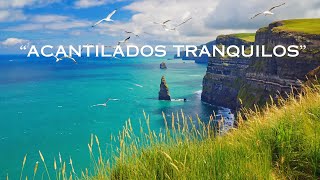 Acantilados y Gaviotas – Sonidos del Mar para Relajarse